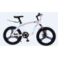 20 -Zoll -Magnesiumlegierung integriertes Rad Mountainbike